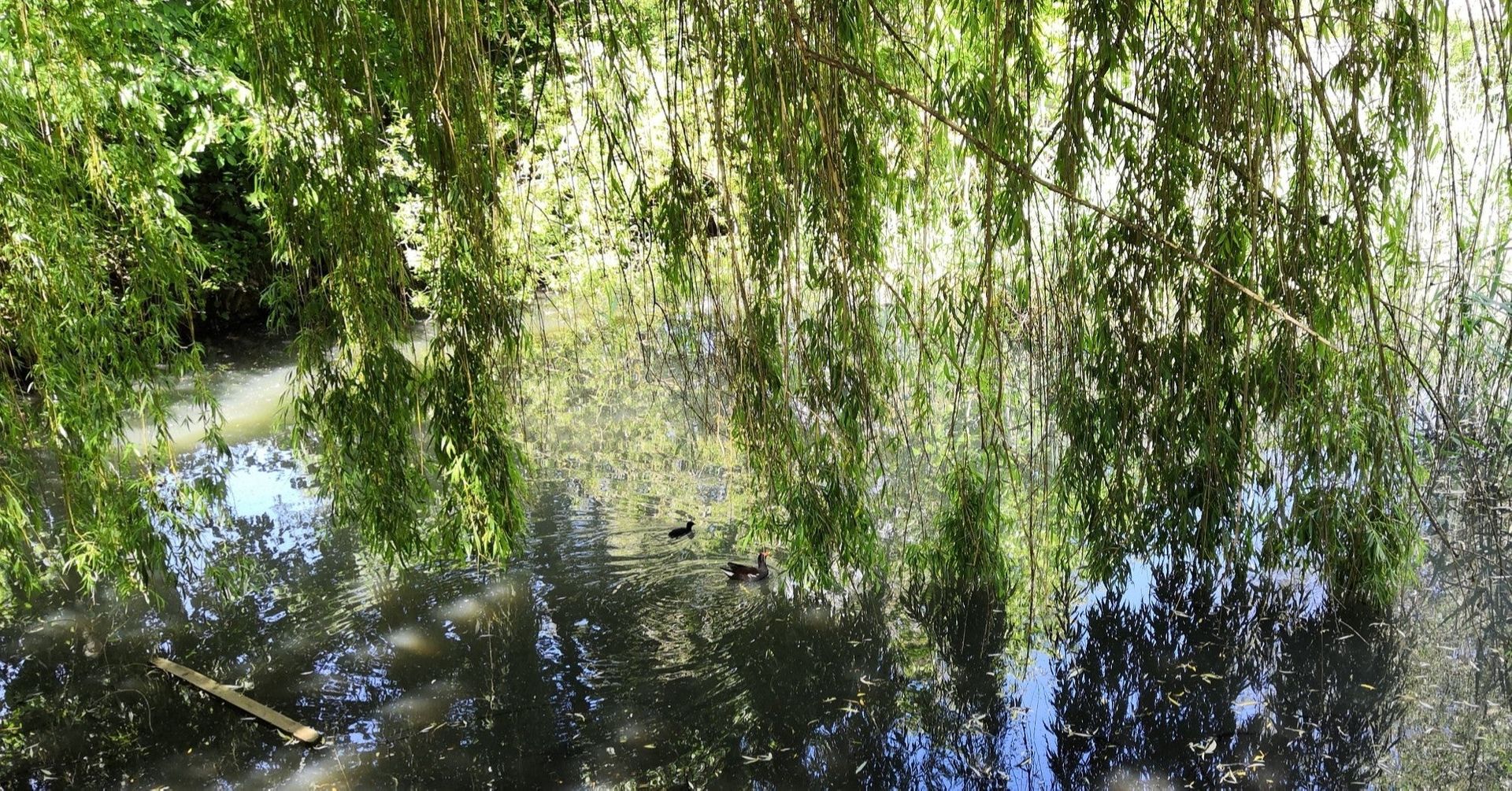 虐待と暴力の連鎖は構造的問題であると気づくこと。目の前の子ども、自分の中の子どもを守ることが、人生を変え、社会を変える。