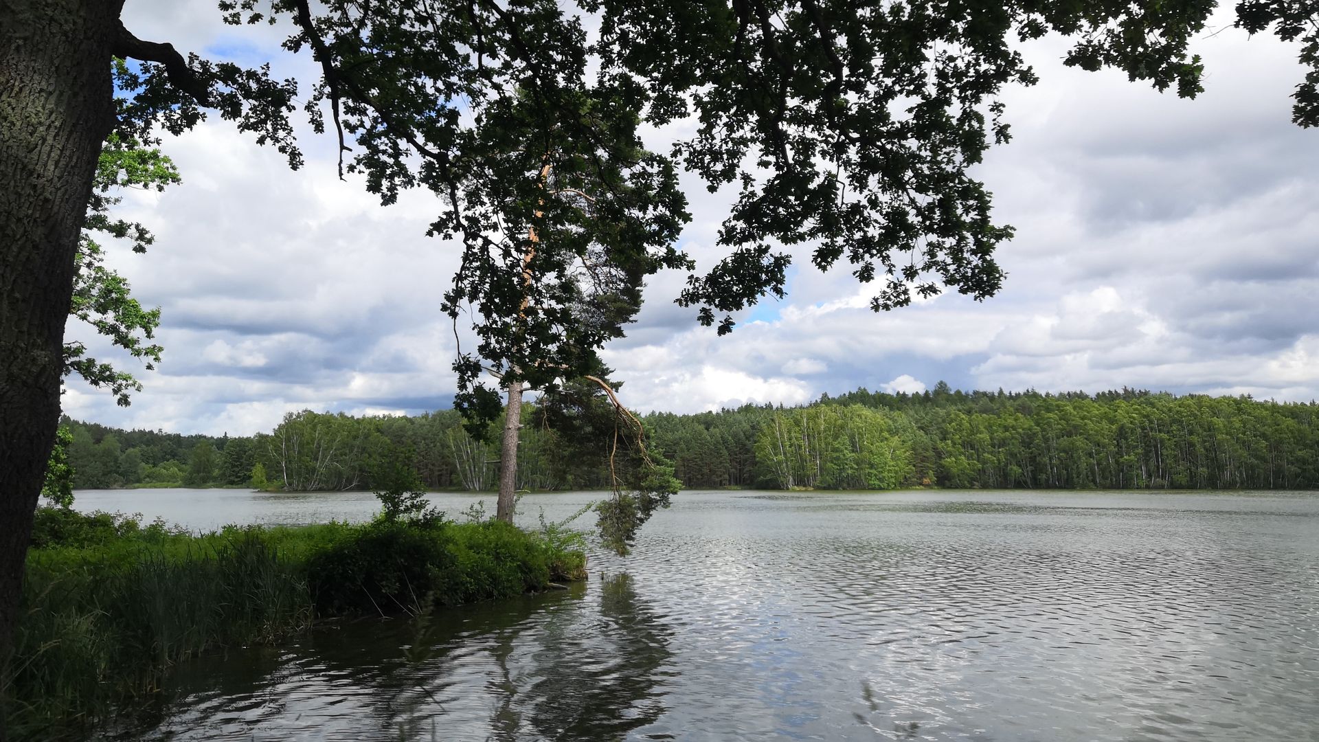 Třeboňskoの水景