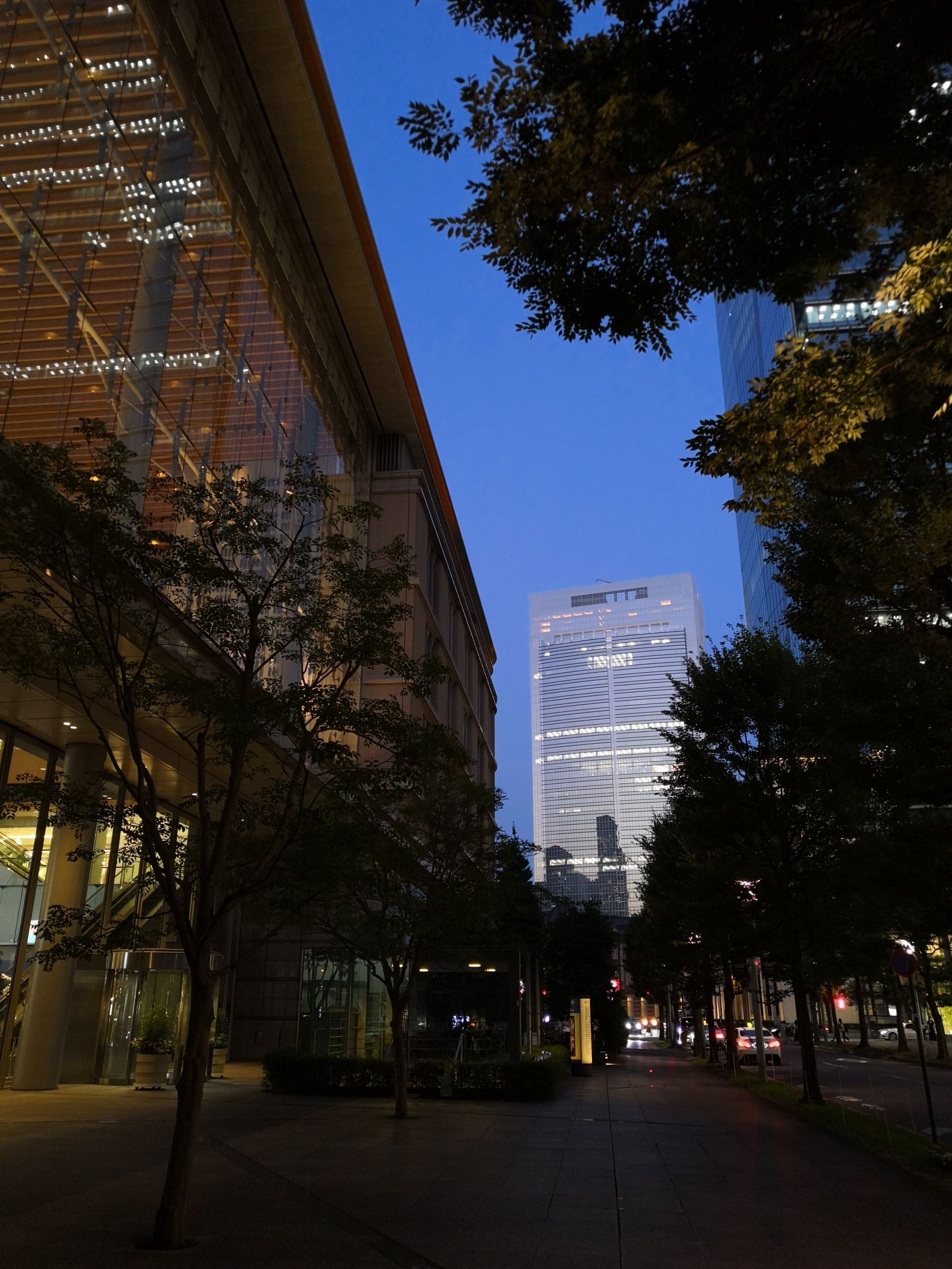 東京でフィクションの世界に迷い込む