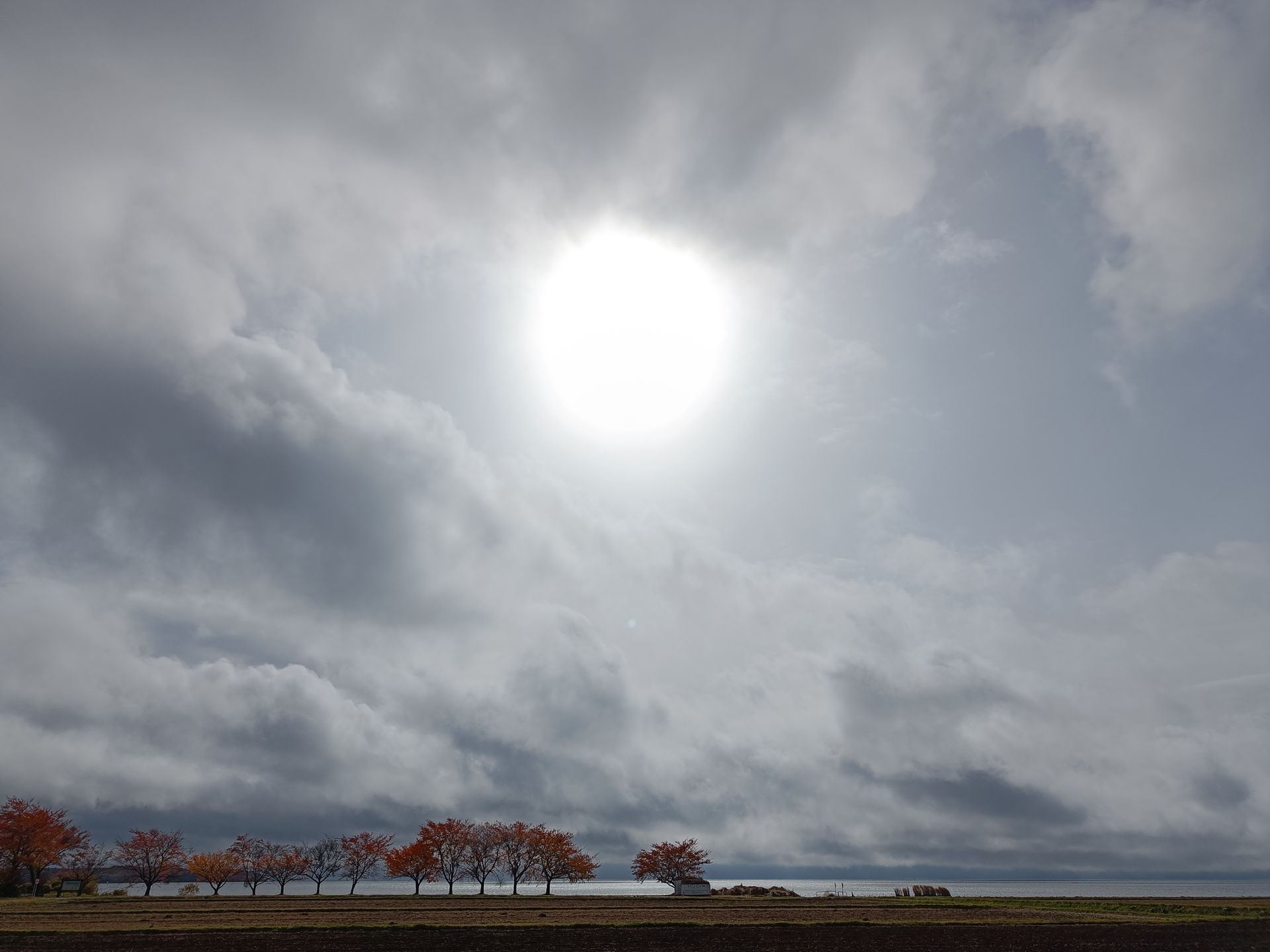 101号室に引っ越す夢