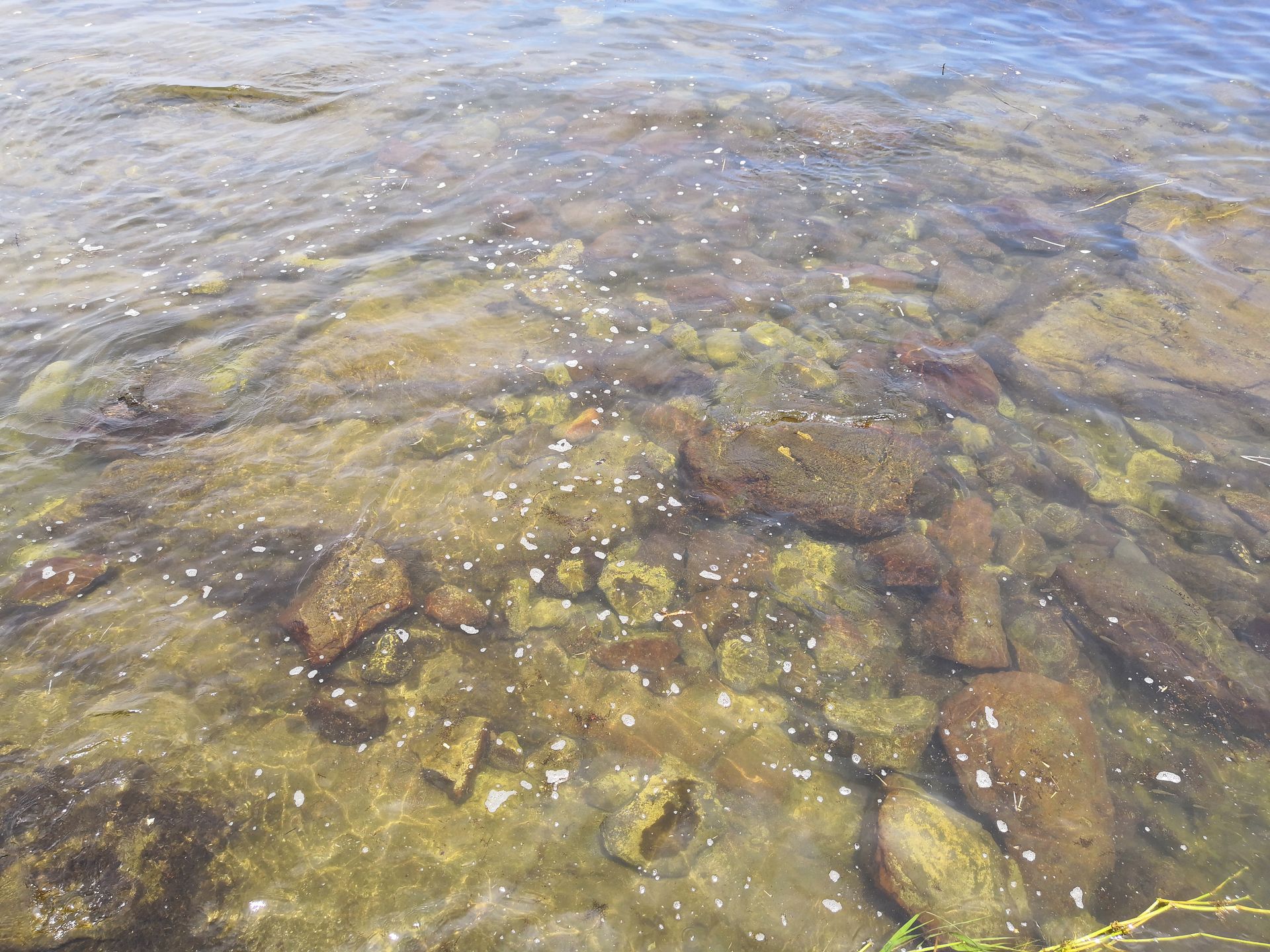 海辺の行楽地ヒアデス