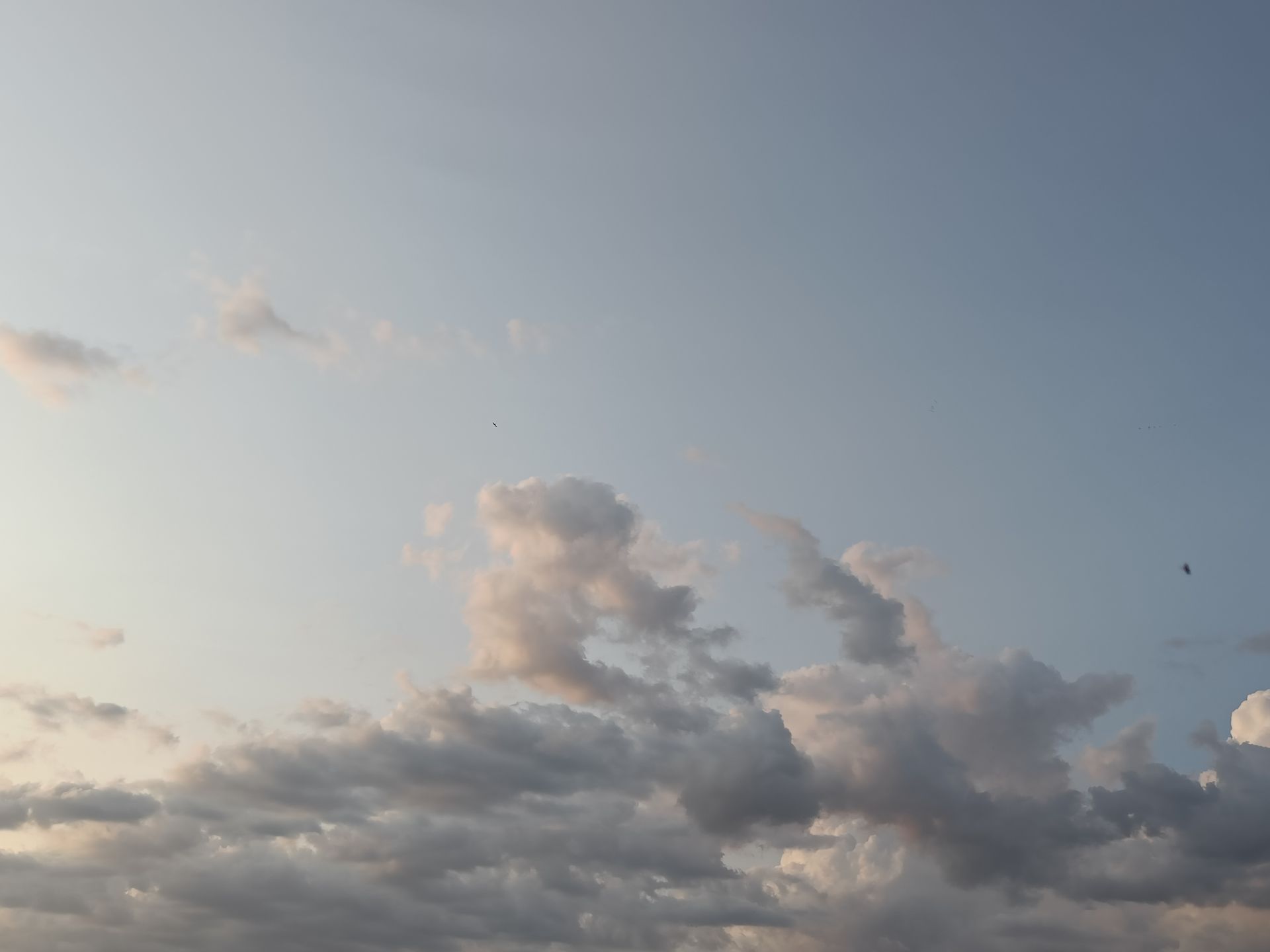 さくらが旅立った後にできた空白