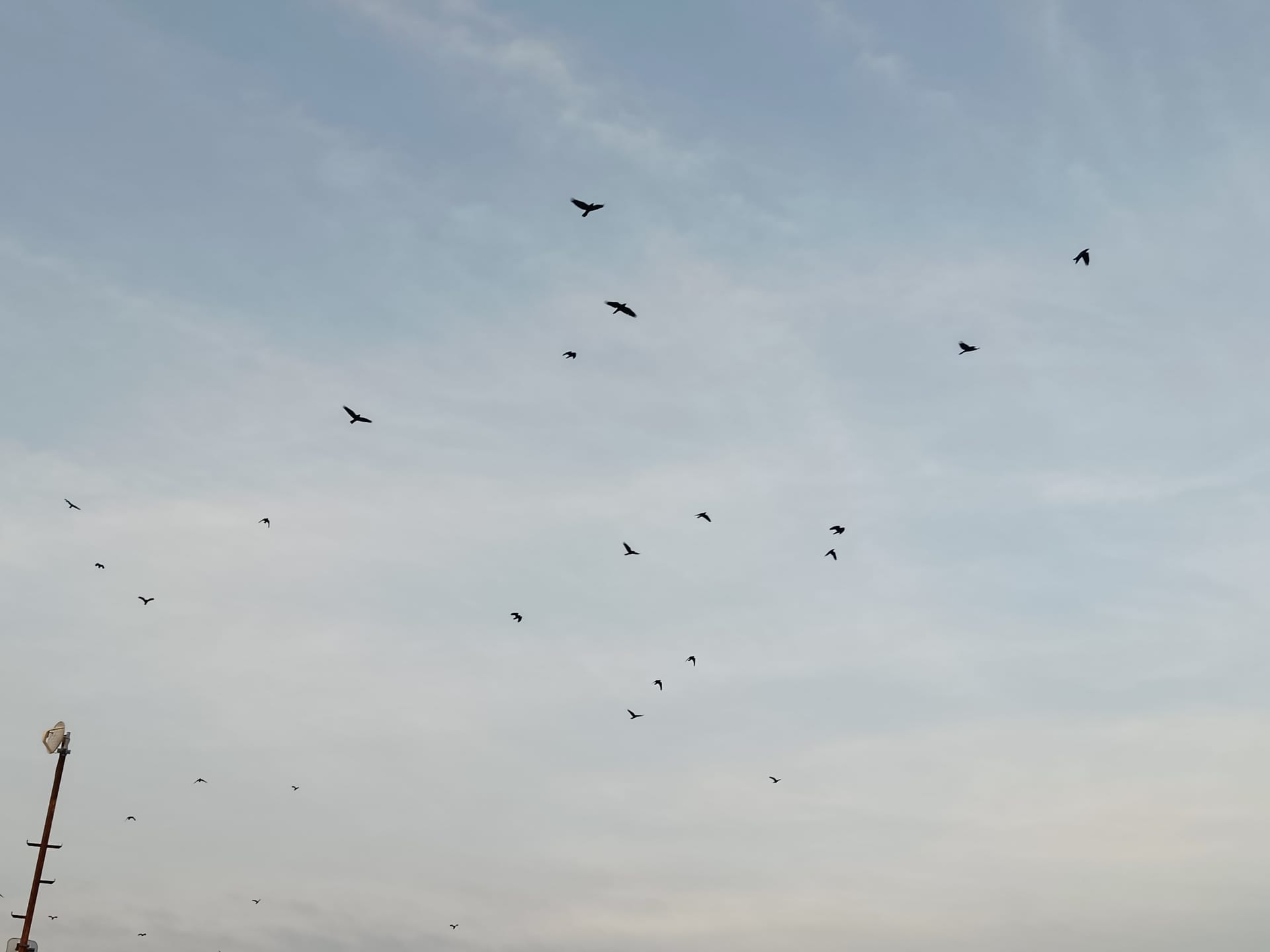 ボヘミアの大地が歌う