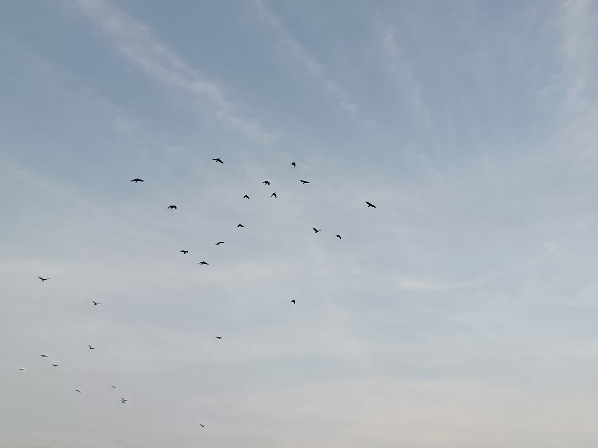 記憶の中の風景