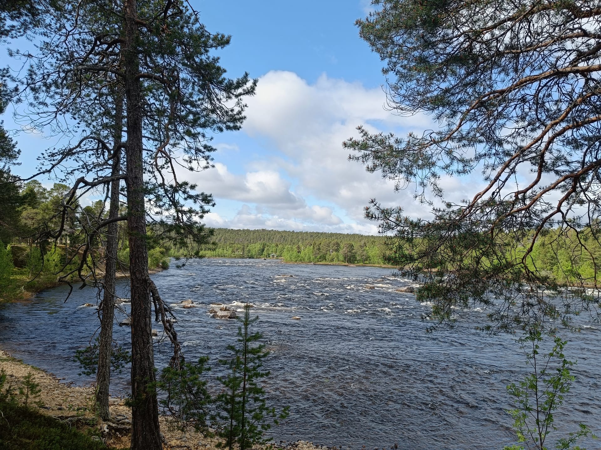 Inari