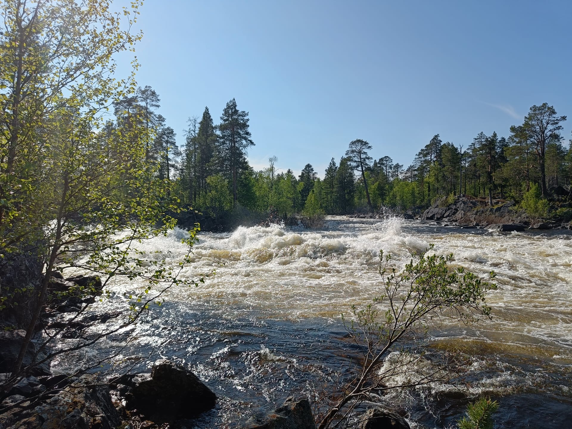 Jäniskoski