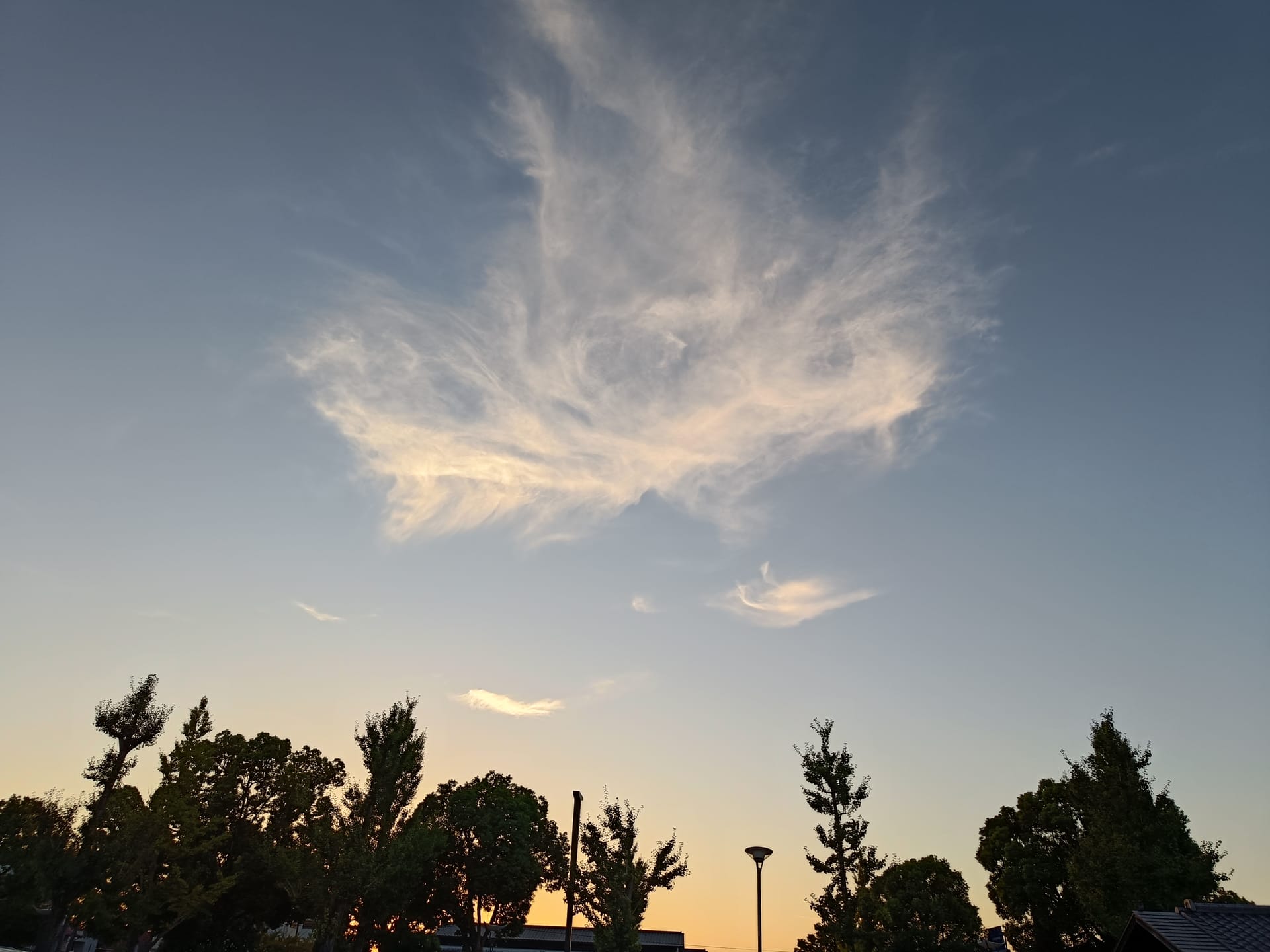 絵の手渡しと、懐かしい場所