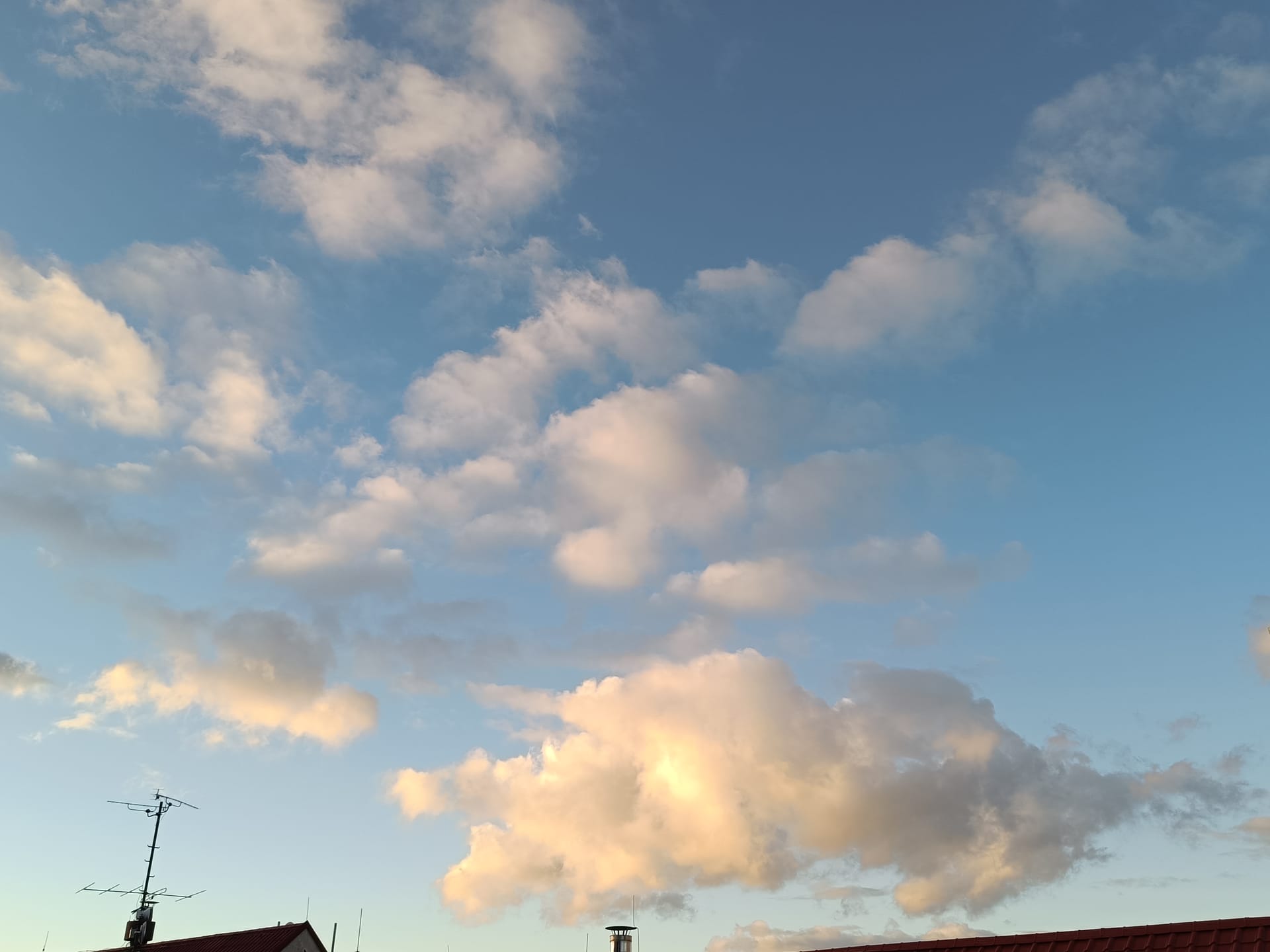 さくらがもたらしてくれた出逢い