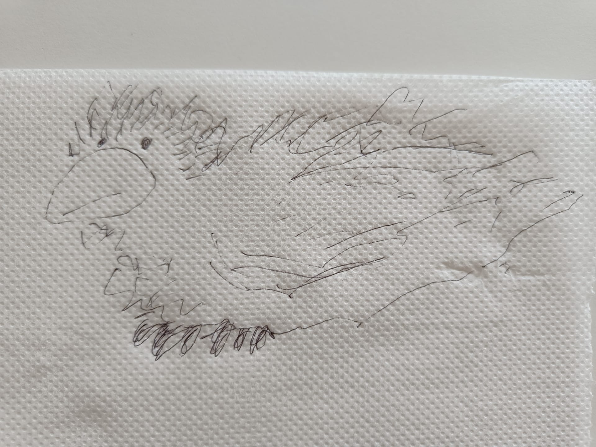 大きな鳥が窓にやってきた夢