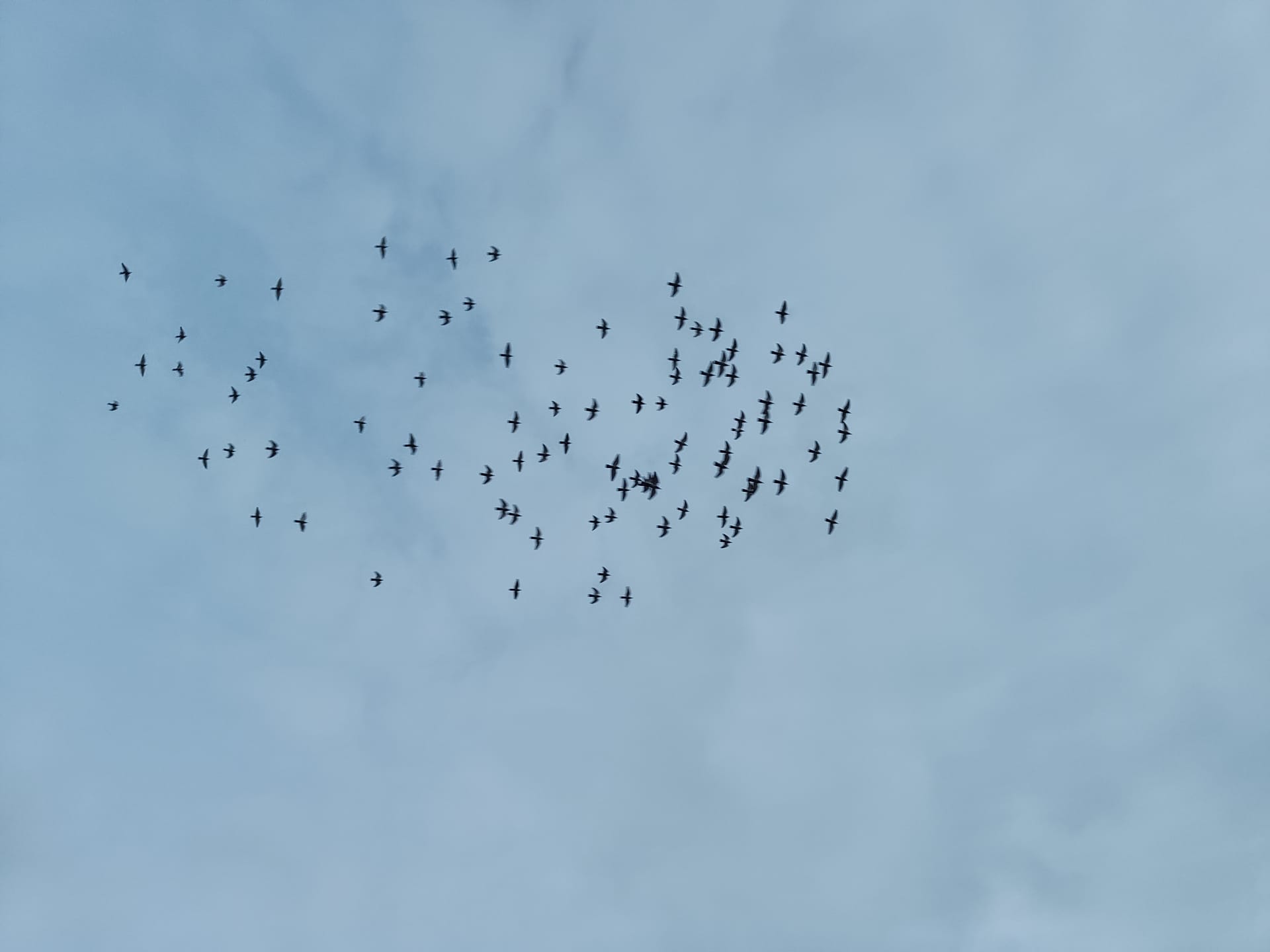 描かされ、描いて、描かせてもらう