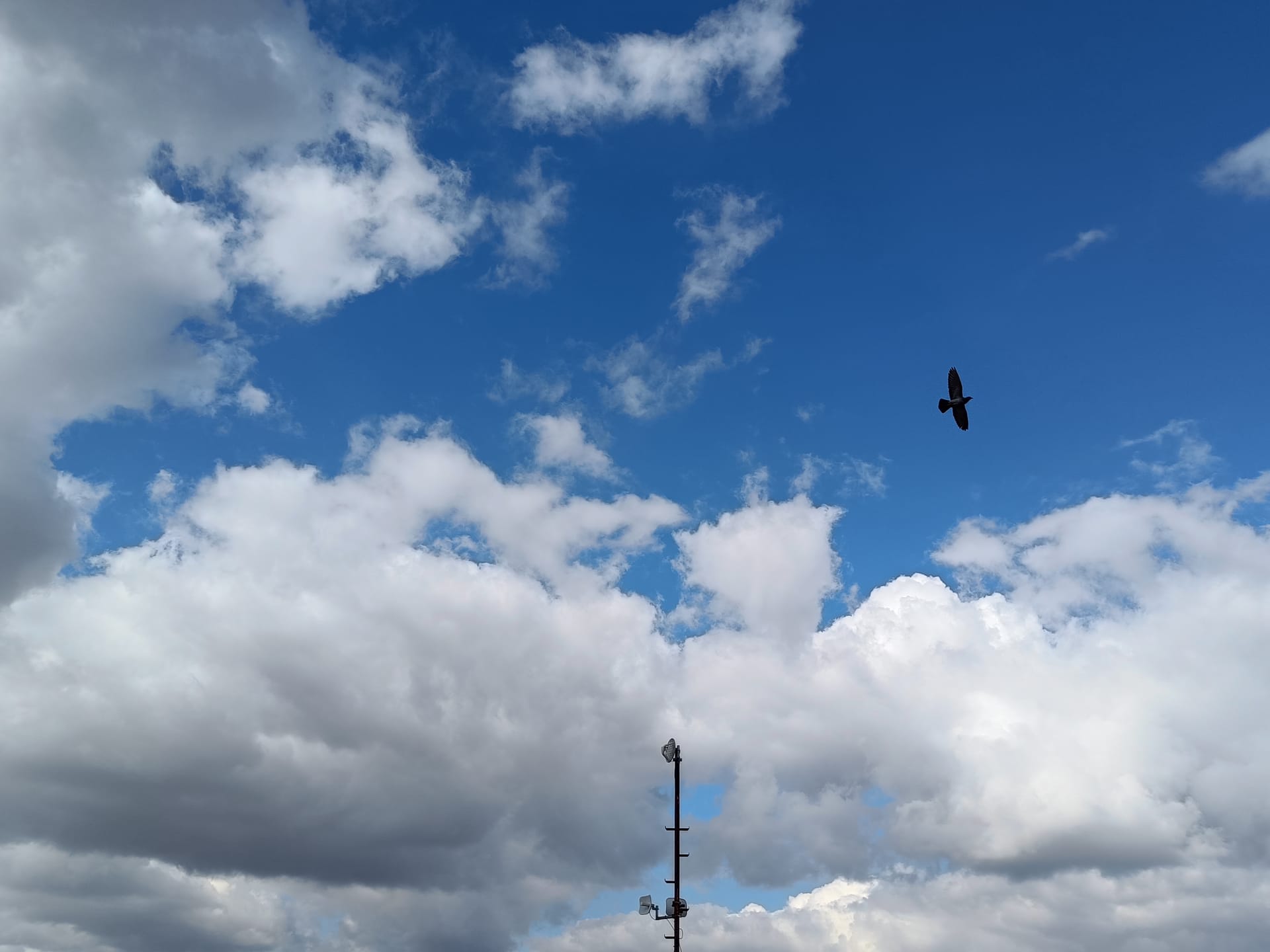 語りすぎてはならない